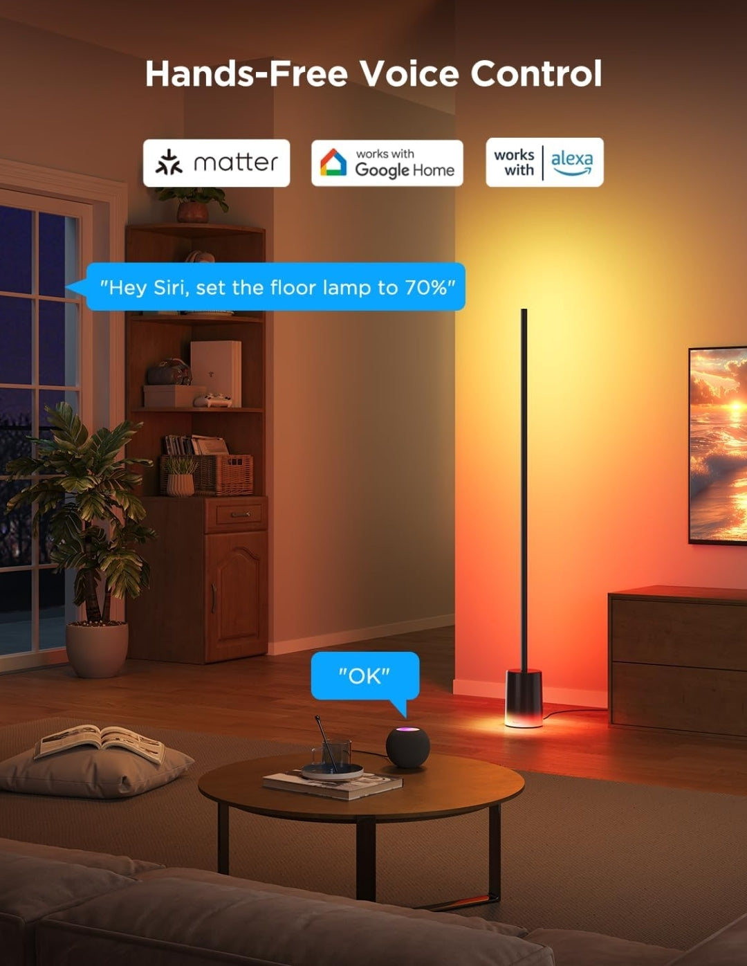 Govee Floor Lamp 2 with Matter, RGBIC, Warm Cool White LED, Alexa Compatible, 1725lm, Music Sync, Scene Modes, Smart Floor Lamp for Living Room, Bedroom, Black(1 Pack)