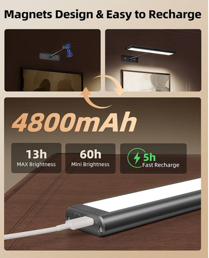 Picture Light for Wall, 4800mAh Rechargeable Wireless Remote Battery Lights, 16In Dimmable Magnetic LED Light, Colors Temperatures