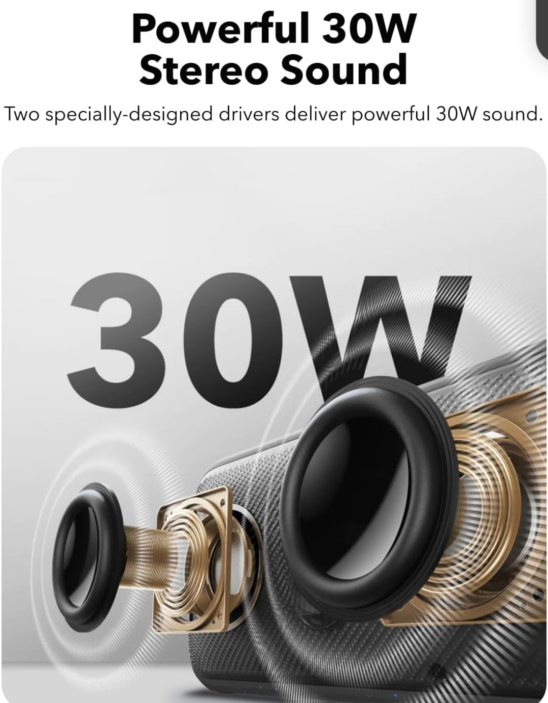Soundcore Motion 300 by Anker, Bluetooth Speaker, Wireless Hi-Res Portable Speaker, IPX7 Waterproof, BassUp, Bluetooth 5.3, 30W Stereo Sound, 13H Playtime for Home, Shower, Outdoor, and Travel