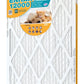 Arm & Hammer Enhanced Air Filter - (4-Pack)