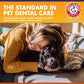 Arm & Hammer Complete Care Enzymatic Dog Toothpaste (6.2 oz) - For Puppies and Adult Dogs