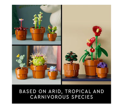 LEGO Botanicals Klein Plantjies Kunsmatige Binnenshuise Plant Boublokkiesstel – Lessenaarversiering