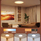 Govee Smart Ceiling Light, RGBIC LED Ceiling Light Fixture, 2400LM Flush Mount Light Fixture, DIY Colors, Works with Alexa, 2200K-6500K Ceiling Lights for Bedroom, Living Room, 12 Inch, 2 Packs