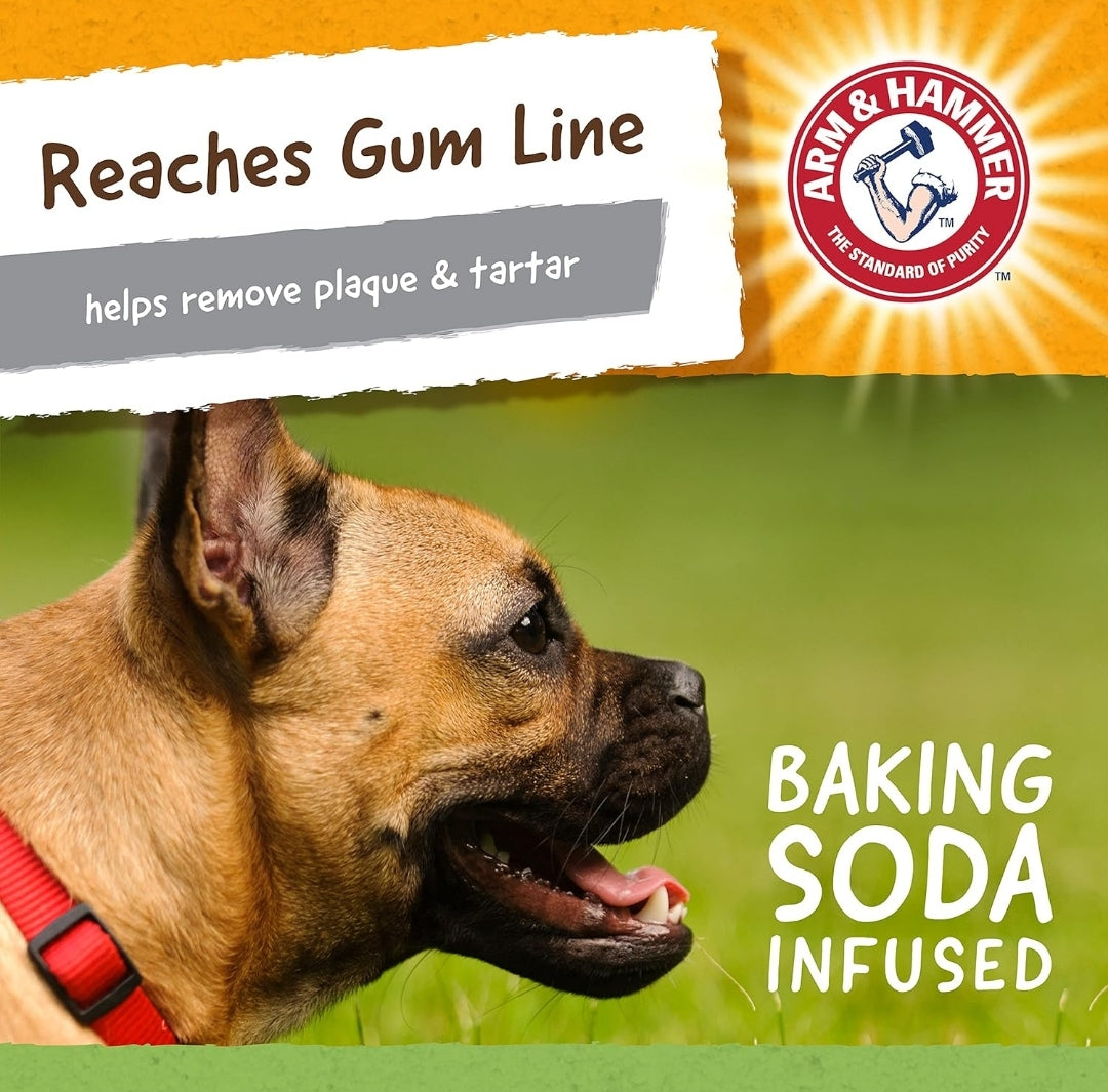 Arm & Hammer for Pets Super Treadz Gator Toy - Best Chew Toys Reduce Plaque & Tartar Buildup Without Brushing