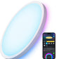 Govee Smart Ceiling Light, RGBIC LED Ceiling Light Fixture, 2400LM Flush Mount Light Fixture, DIY Colors, Works with Alexa, 2200K-6500K Ceiling Lights for Bedroom, Living Room, 12 Inch, 1 Pack