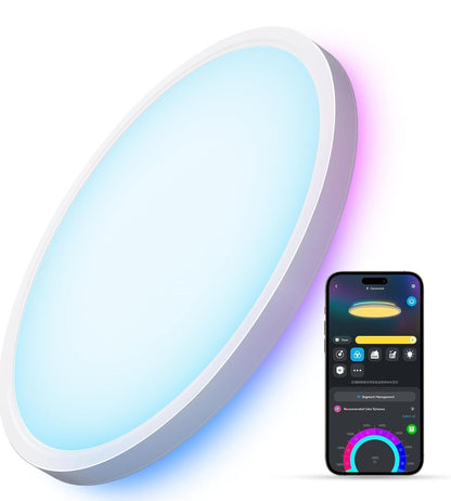 Govee Smart Ceiling Light, RGBIC LED Ceiling Light Fixture, 2400LM Flush Mount Light Fixture, DIY Colors, Works with Alexa, 2200K-6500K Ceiling Lights for Bedroom, Living Room, 12 Inch, 1 Pack