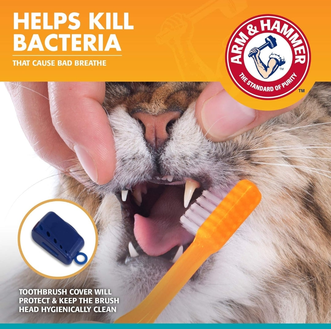 Arm & Hammer Cat Dental Kit - Toothbrush, Toothpaste and Oral Care for Kittens with Tuna and Fresh Mint Flavors