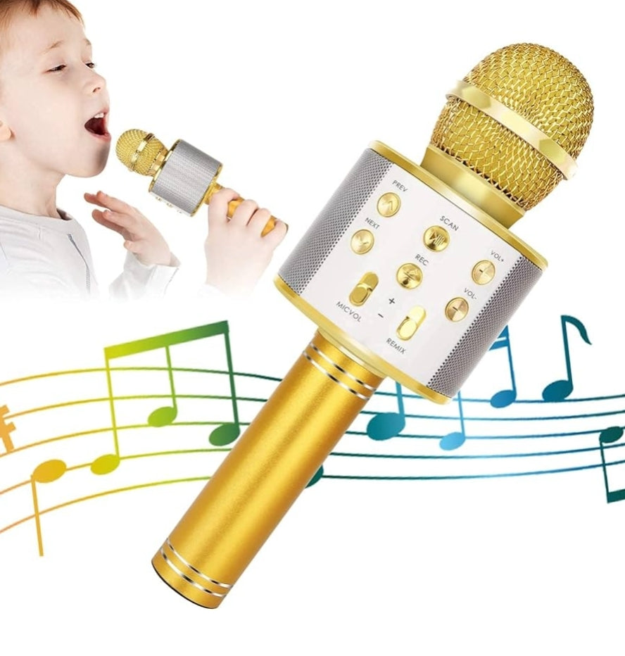 Wireless BT 5-in-1 Portable Handheld Karaoke Mic Speaker Player Recorder w/ Adjustable Remix FM Radio - (Gold)
