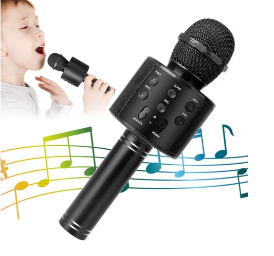 Wireless BT 5-in-1 Portable Handheld Karaoke Mic Speaker Player Recorder w/ Adjustable Remix FM Radio - (Matte Black)