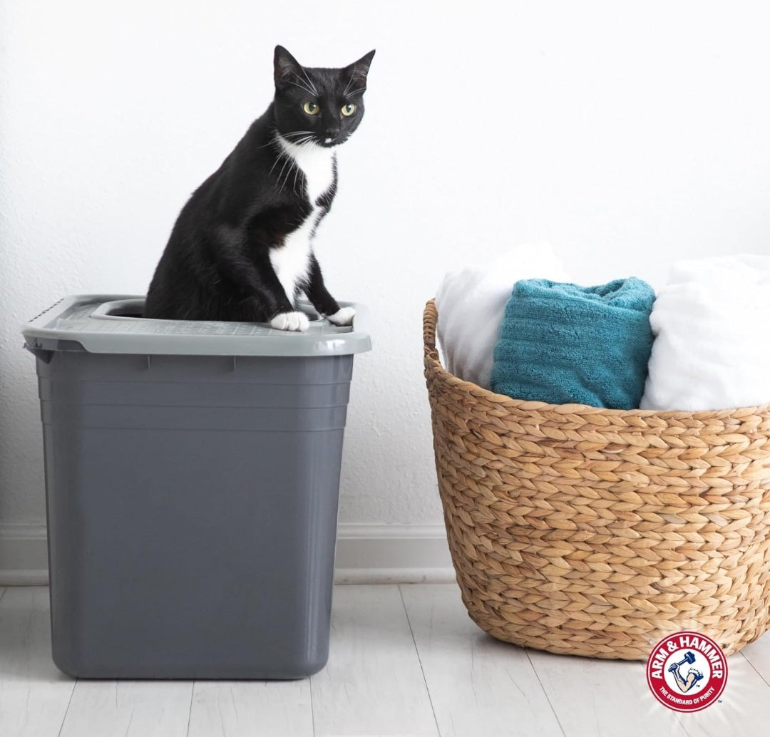 Arm & Hammer Premium Top Entry Litter Box with Filter to Clean Paws and Microban
