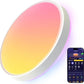 Govee Smart Ceiling Light 4300LM, RGBIC LED Ceiling Light Fixture Works with Matter, Flush Mount Light Fixture, DIY Colors, 2700K-6500K Ceiling Lights for Bedroom, Living Room, 15 Inch, 1 Pack