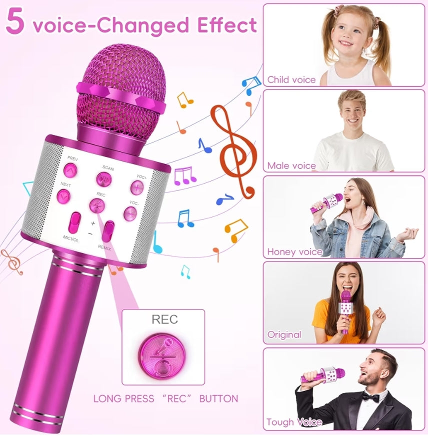 Draadlose BT 5-in-1 Draagbare Handheld Karaoke Mikrofone Luidspreker Speler Opnemer m/ Verstelbare Remix FM Radio vir Kinders – Warm Pienk